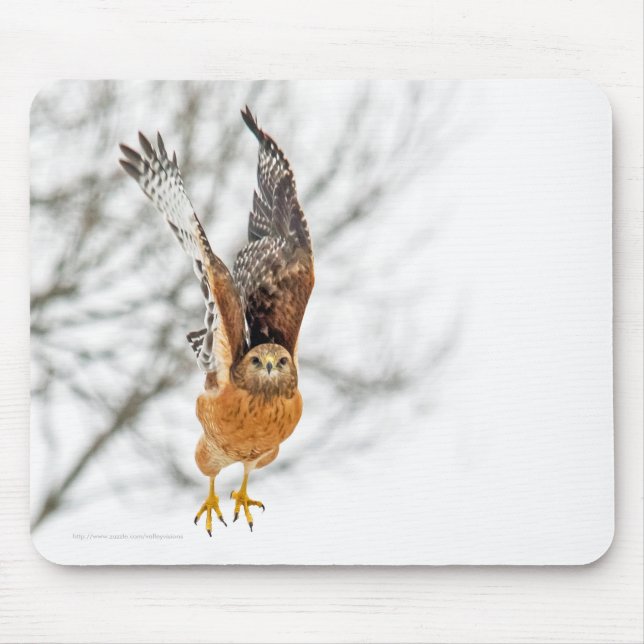 Hawk Taking Flight Mouse Pad (Front)