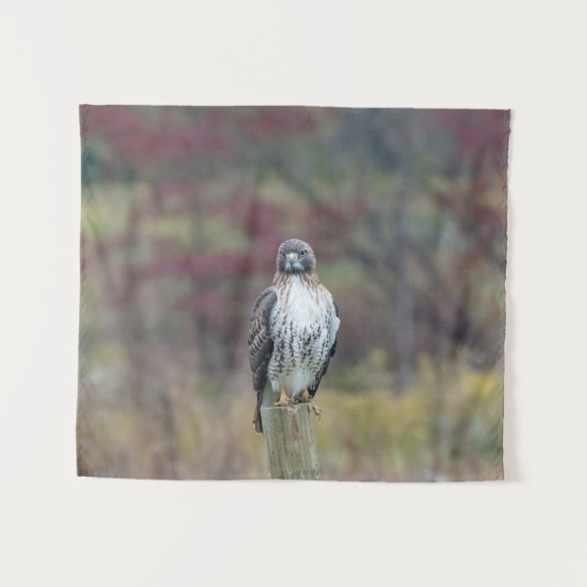 Hawk Tapestry (Front (Horizontal))