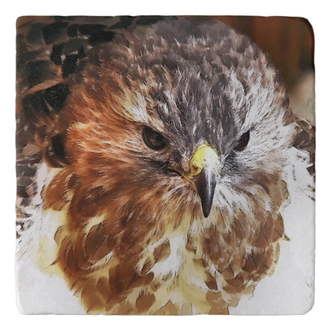 HAWK TRIVET (Front)