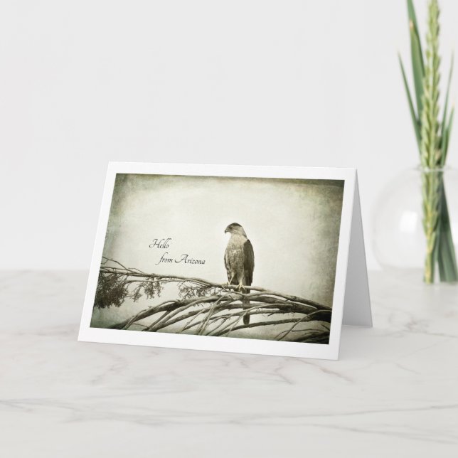 Hawk, vintage style, blank notecard (Front)
