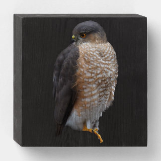 Hawk Wooden Box Sign