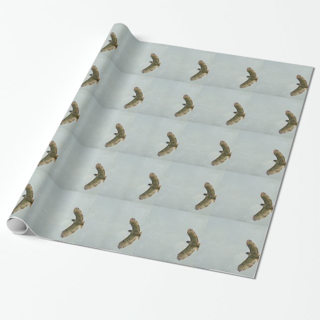 Hawk Wrapping Paper (Unrolled)