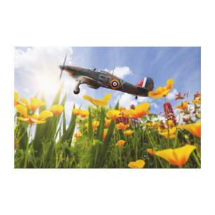 Hawker Hurricane flying over poppies in spring Canvas Print