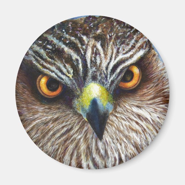 Hawkeyes Magnet (Front)