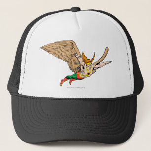 Hawkman Flies Trucker Hat