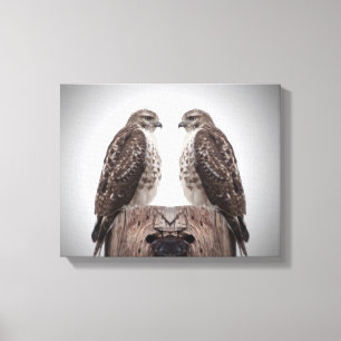 Hawks on a post canvas print
