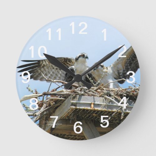 Hawks Ospreys Wall Clock