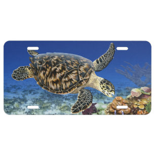 Hawksbill in Habitat License Tag Plate