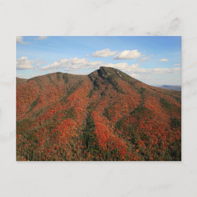 Hawksbill Mountain in Fall, Linville Gorge, NC Postcard (Front)