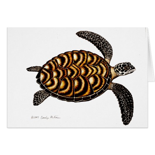 Hawksbill Sea Turtle Card (Front Horizontal)