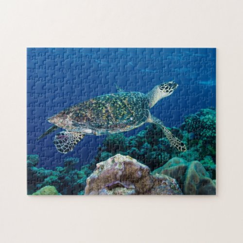 Hawksbill Sea Turtle Great Barrier Reef Coral Gift Jigsaw Puzzle