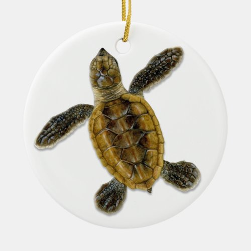 Hawksbill Sea Turtle Hatchling Ornament