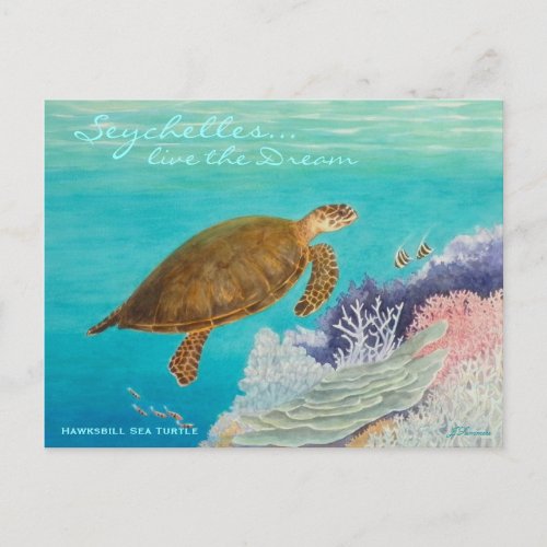 Hawksbill Sea Turtle Postcard