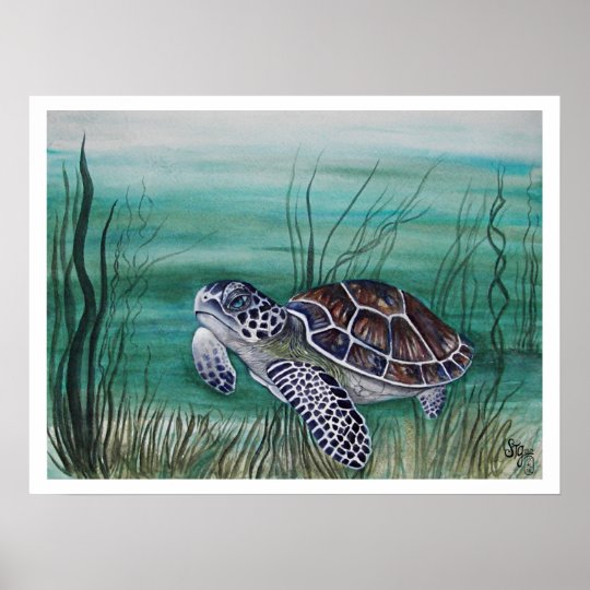 Hawksbill Sea Turtle Poster | Zazzle.com