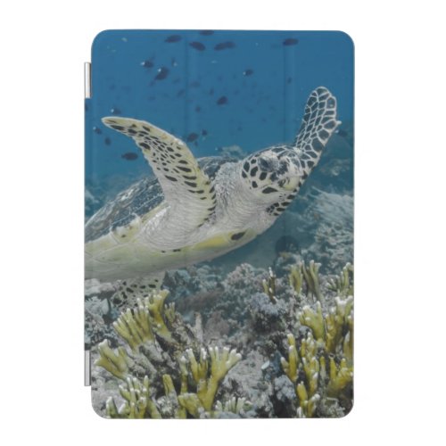 Hawksbill Sea Turtle Swimming iPad Mini Cover