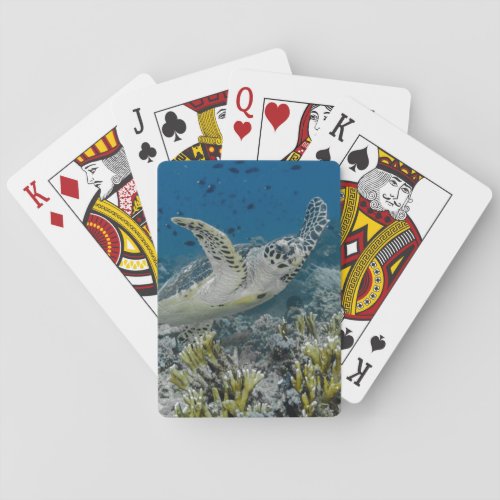 Hawksbill Sea Turtle Swimming Poker Cards