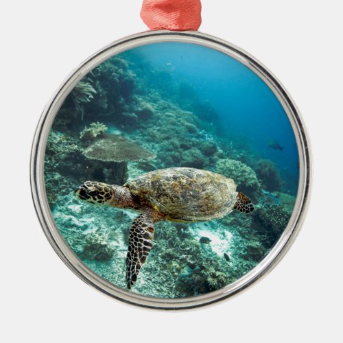 Hawksbill sea turtle underwater Raja Ampat islands Metal Ornament