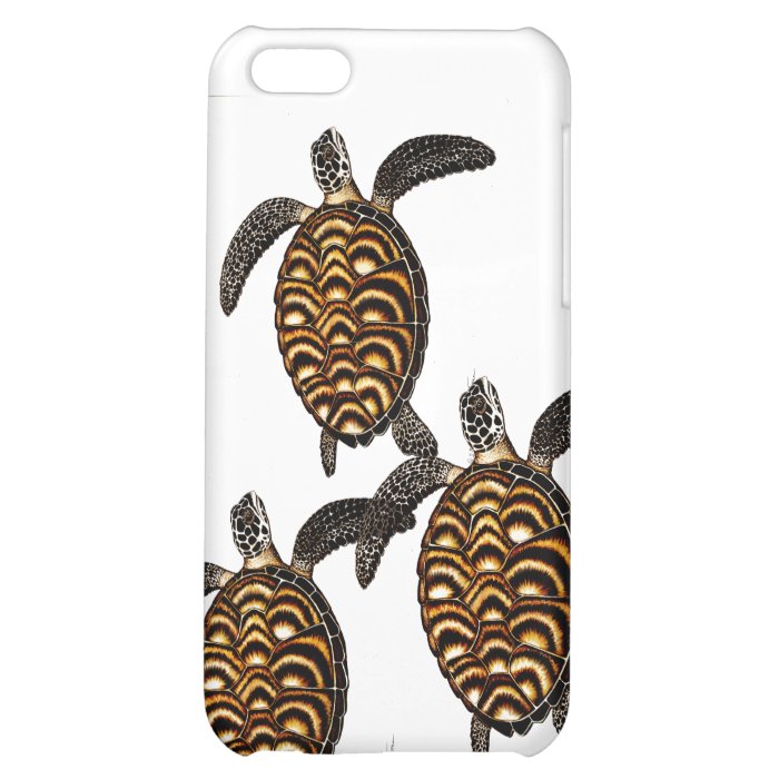 Hawksbill Sea Turtles iPhone Case iPhone 5C Covers