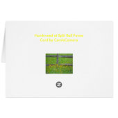 Hawkweed at Split Rail Fence Matching Items Cards (Back Horizontal)