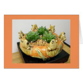 Haworthia with Frogs by Succulent Designs (Front Horizontal)