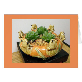 Haworthia with Frogs by Succulent Designs Cards