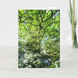 Hawthorn and Oak Handfasting Card