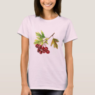 Hawthorn botanical fine art fall berries t-shirt