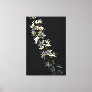 Hawthorn Flowers 40x60 (100x150cm) waccnm Canvas Print
