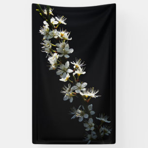 Hawthorn Flowers bnrcna Banner