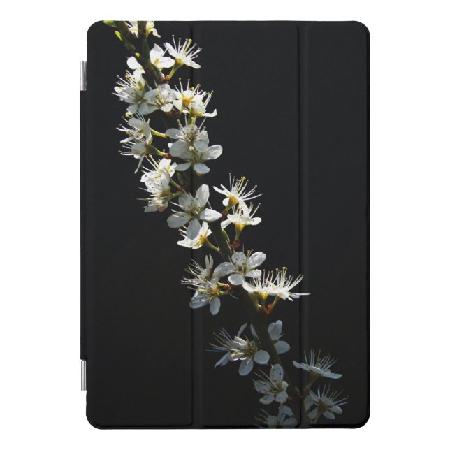 Hawthorn Flowers ipacnm iPad Pro Cover (Front)