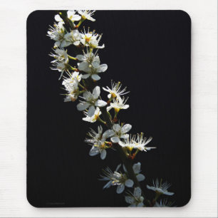 Hawthorn Flowers mpcnm Mouse Pad