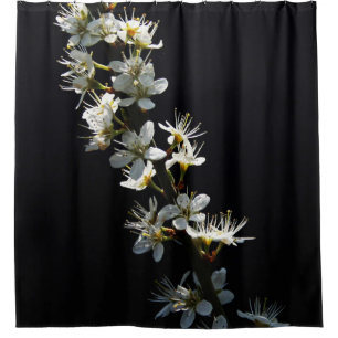 Hawthorn Flowers sccna Shower Curtain