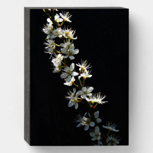 Hawthorn Flowers wbs8x6cna Wooden Box Sign
