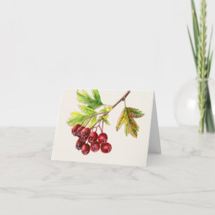 Hawthorn fruits fine art fall everyday card