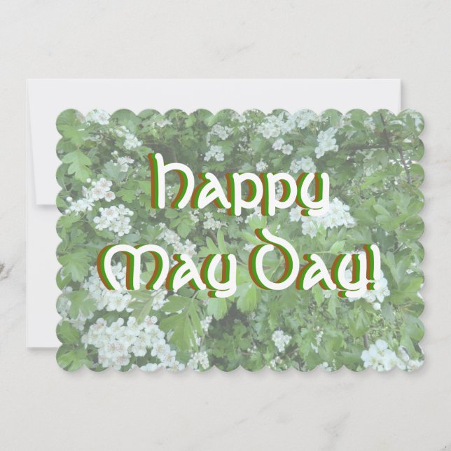 Hawthorn in Bloom Happy May Day Invitation (Front)
