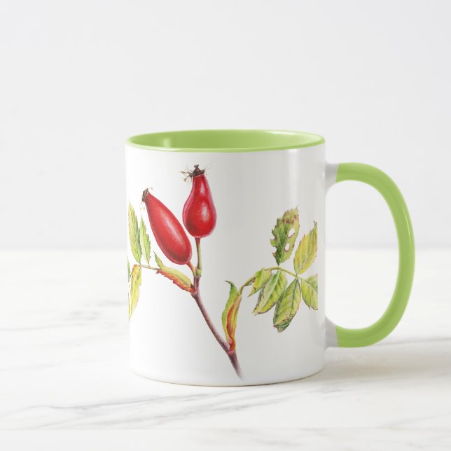 Hawthorn & rose hip botanical art green mug (Right)