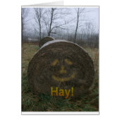 Hay! (Front)