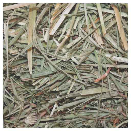 Hay And Grasses Fabric