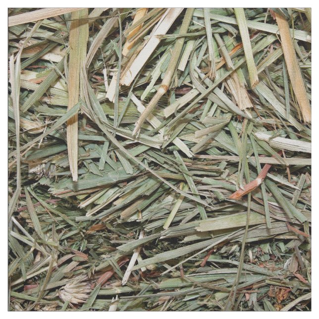 Hay And Grasses Fabric (Swatch)