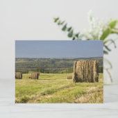Hay Bales (Standing Front)