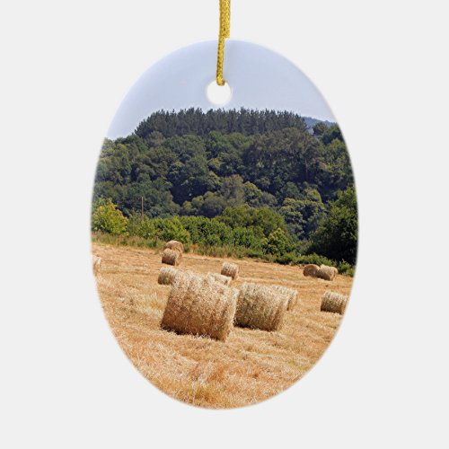 Hay bales along El Camino Spain Ceramic Ornament