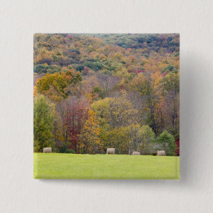 Hay bales and fall foliage, on a farm in button