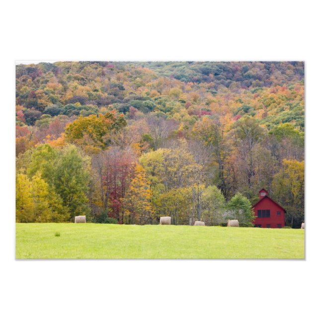 Hay bales and fall foliage, on a farm in photo print (Front)