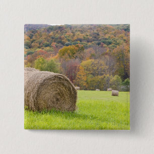 Hay bales and fall foliage on farm, button