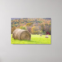 Hay bales and fall foliage on farm,