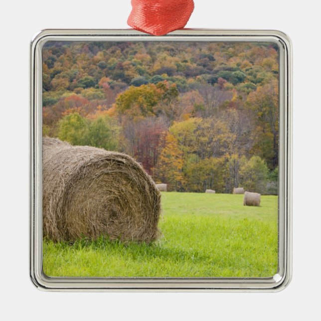Hay bales and fall foliage on farm, metal ornament (Front)