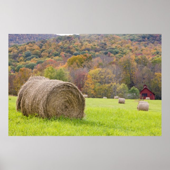 Hay bales and fall foliage on farm, poster (Front)