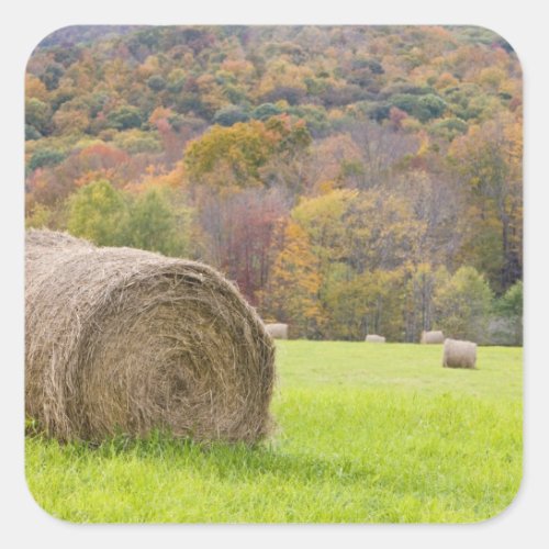 Hay bales and fall foliage on farm square sticker