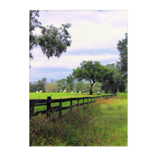 Hay Bales Art & Wall Decor