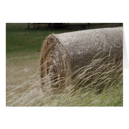 Hay bales cards (Front Horizontal)